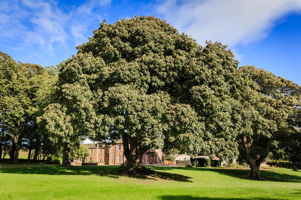 Lunan House Arbroath Exterior foto